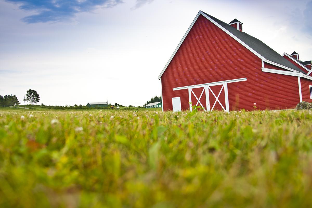 Pole Barns Thumbnail